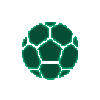 珀斯野猫队标